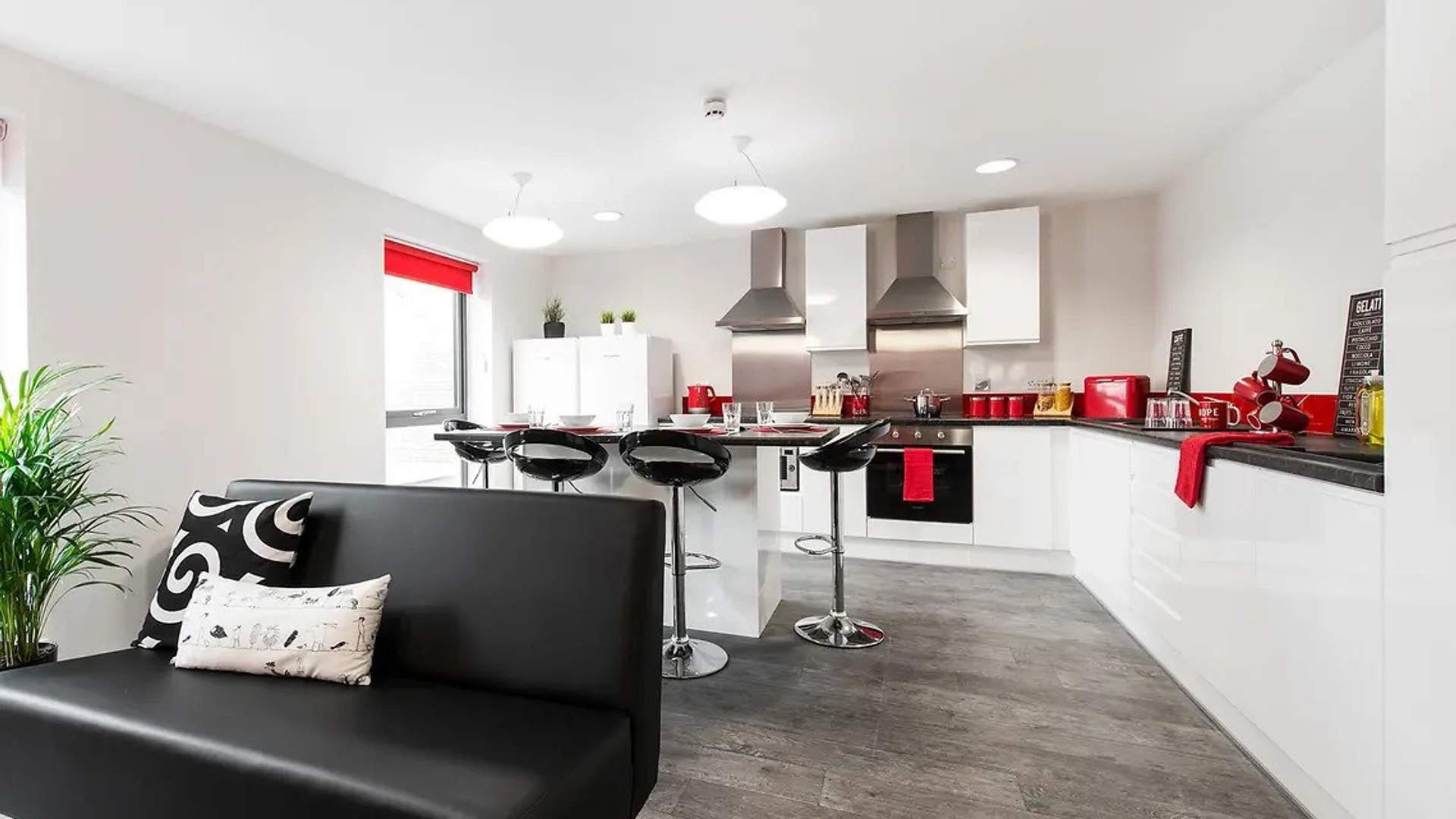 A view of a shared living and kitchen room with red decor
