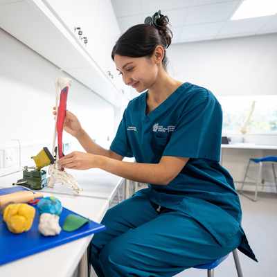 A woman in medical scrubs sits at a desk in a lab, examining a model of a leg with muscles and bones. Various anatomical models and tools are on the desk. She appears focused and engaged in her work.