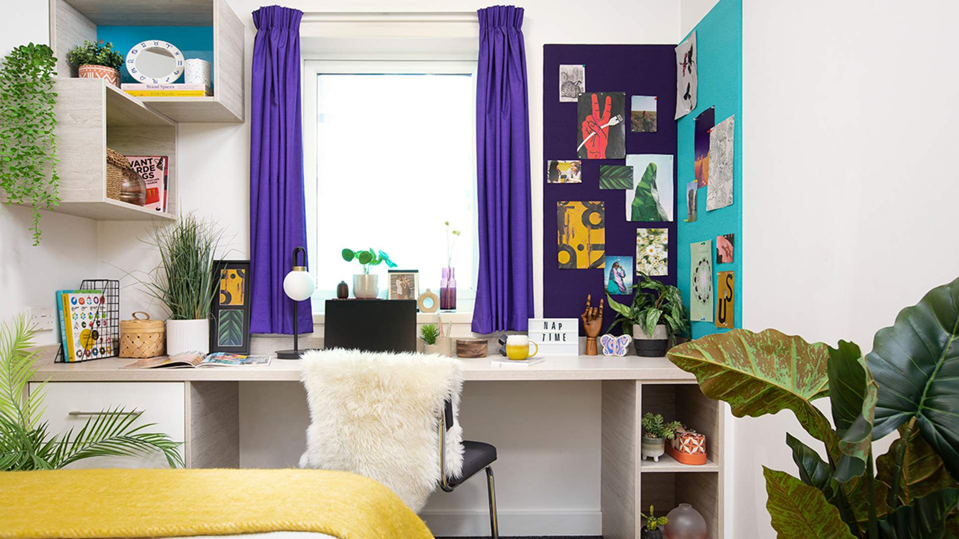 A small room featuring a desk, a bed, and a green plant in the corner, creating a cozy atmosphere.